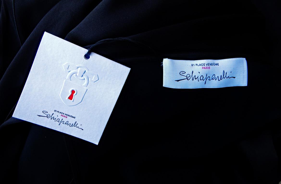 New Limited Edition Schiaparelli Timeless  Evening Gown For Sale 2