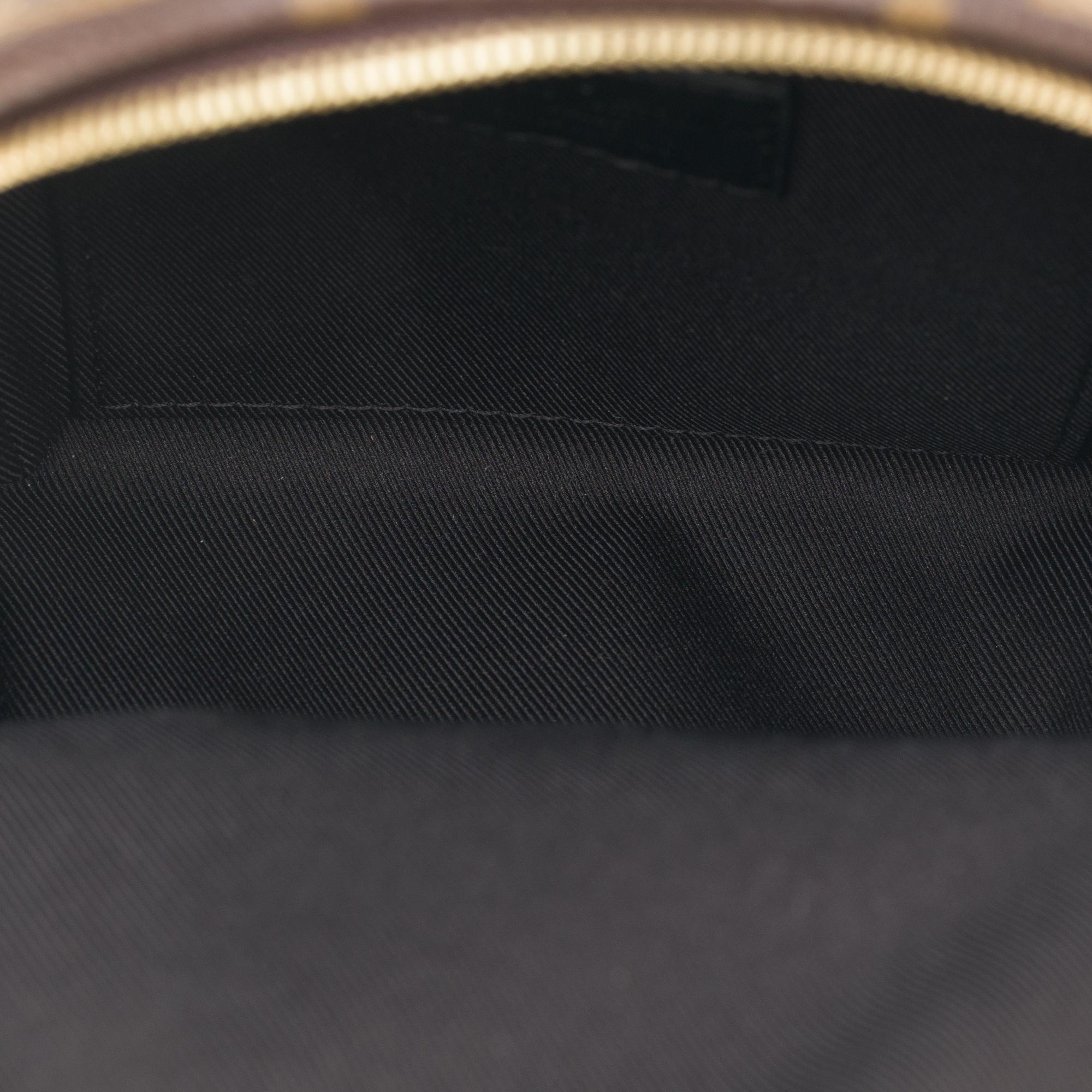 NEU LOL Limited Edition Louis Vuitton Palm Springs Mini-Rucksack aus braunem Segeltuch im Angebot 5