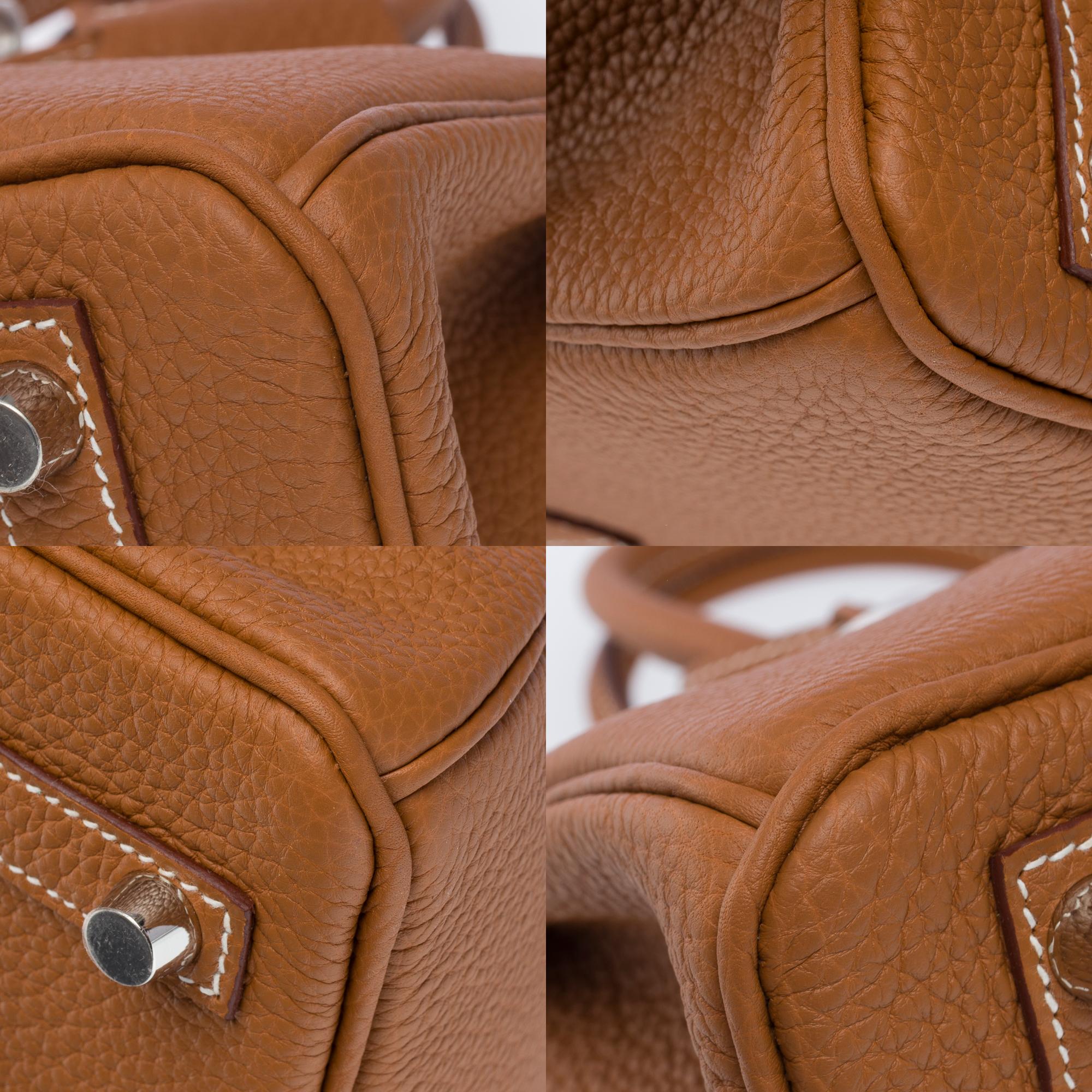 New Magnificent Hermes Birkin 25 handbag in Gold Togo leather, PHW 8