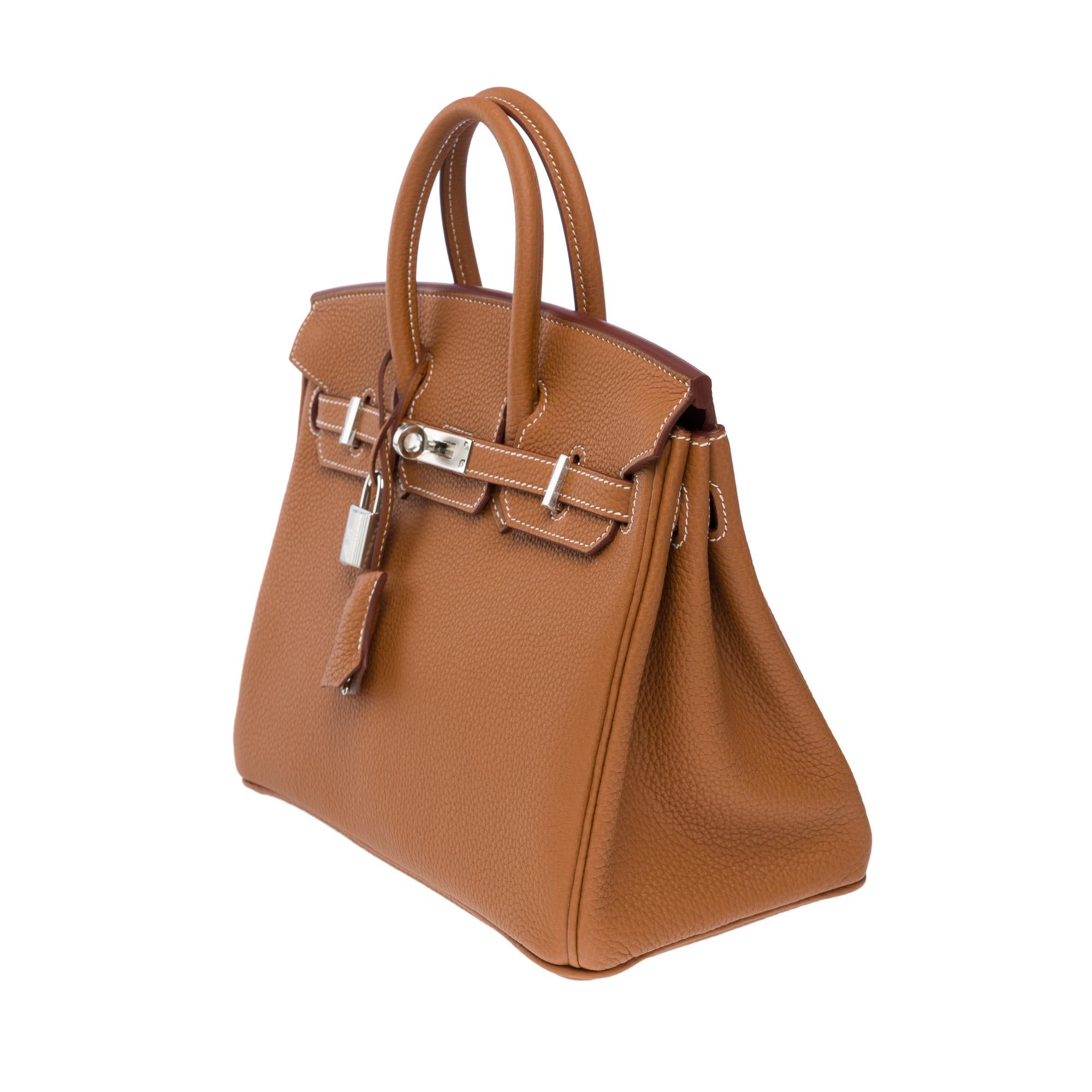 New Magnificent Hermes Birkin 25 handbag in Gold Togo leather, PHW 1
