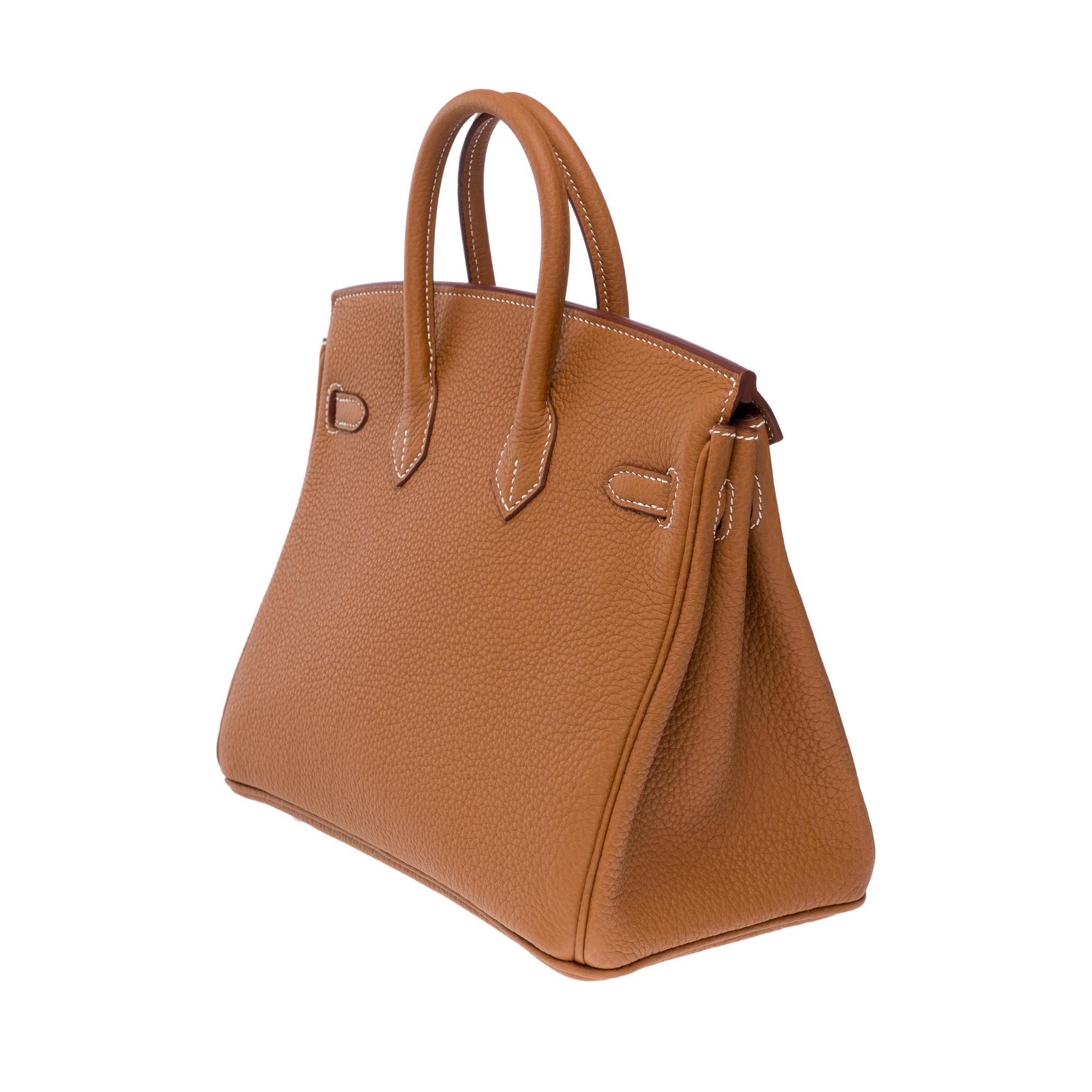 New Magnificent Hermes Birkin 25 handbag in Gold Togo leather, PHW 2