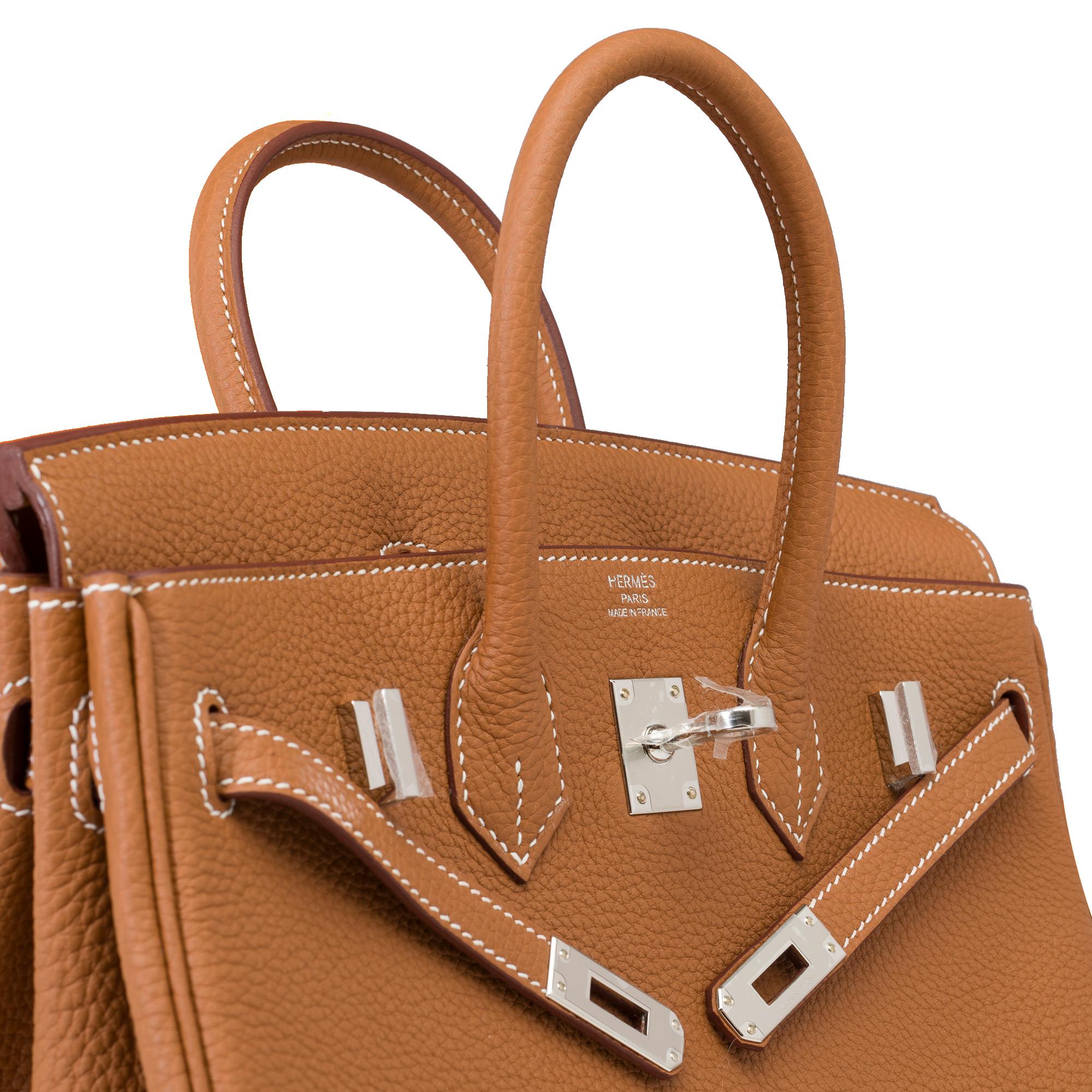 New Magnificent Hermes Birkin 25 handbag in Gold Togo leather, PHW 3