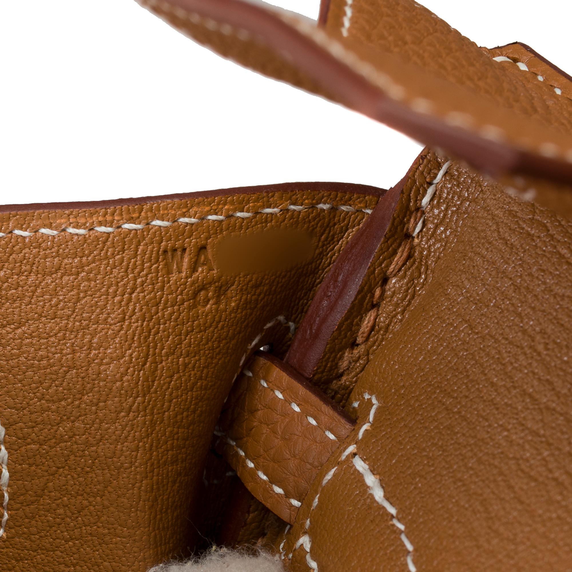 New Magnificent Hermes Birkin 25 handbag in Gold Togo leather, PHW 4