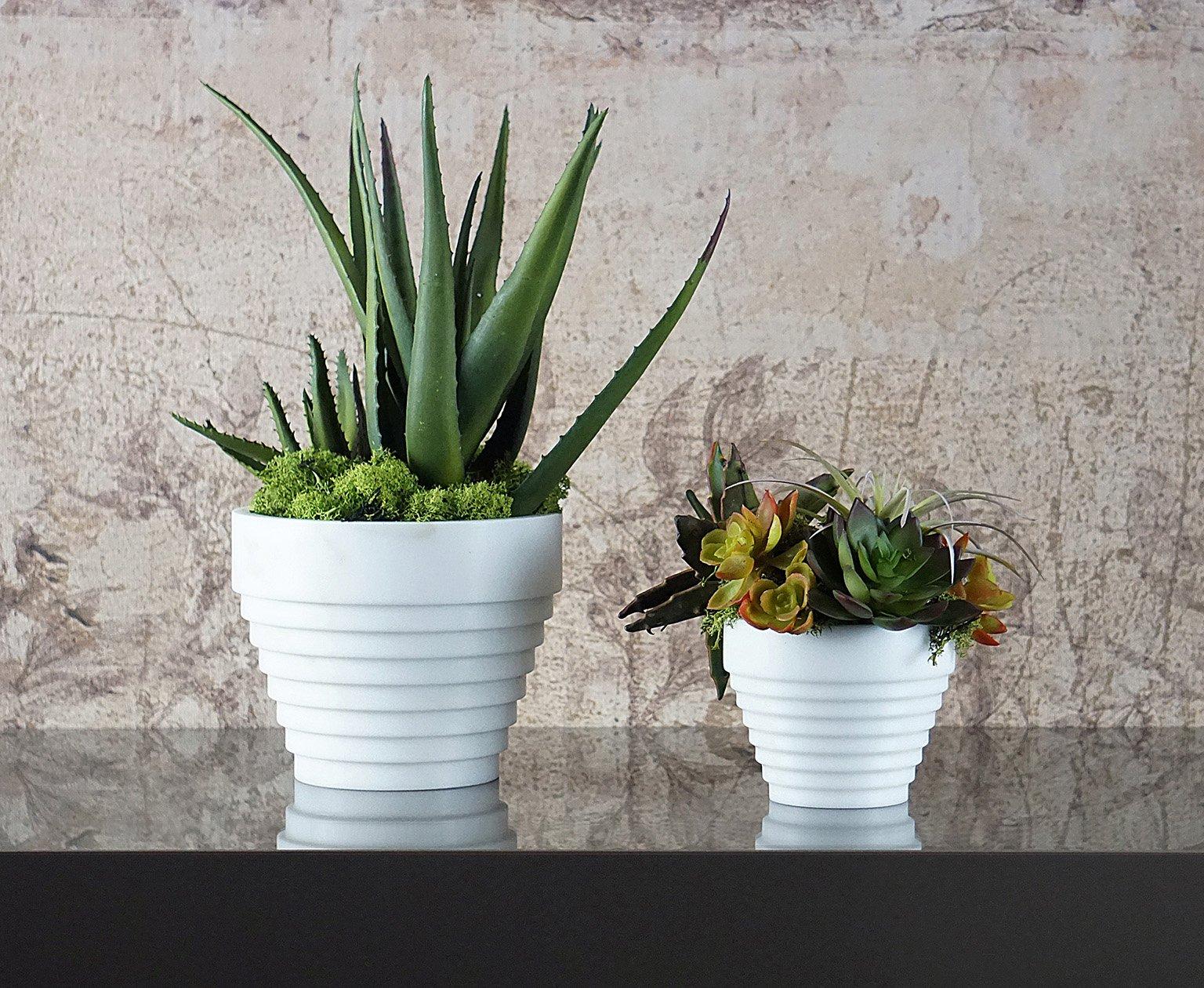 michelangelo marble white
