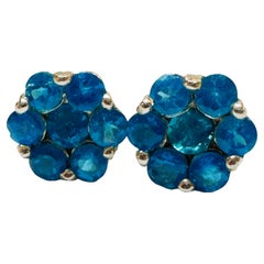 New 3.89 Carat Diamond Cut Paraiba Blue Tourmaline Sterling Earring Post