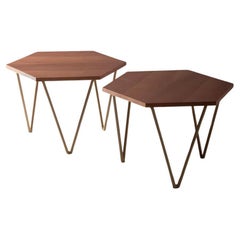 New Official Production ISA BERGAMO Pair of Coffee Tables