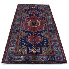 Persian Hamadan Pure Wool Hand Knotted Oriental Rug