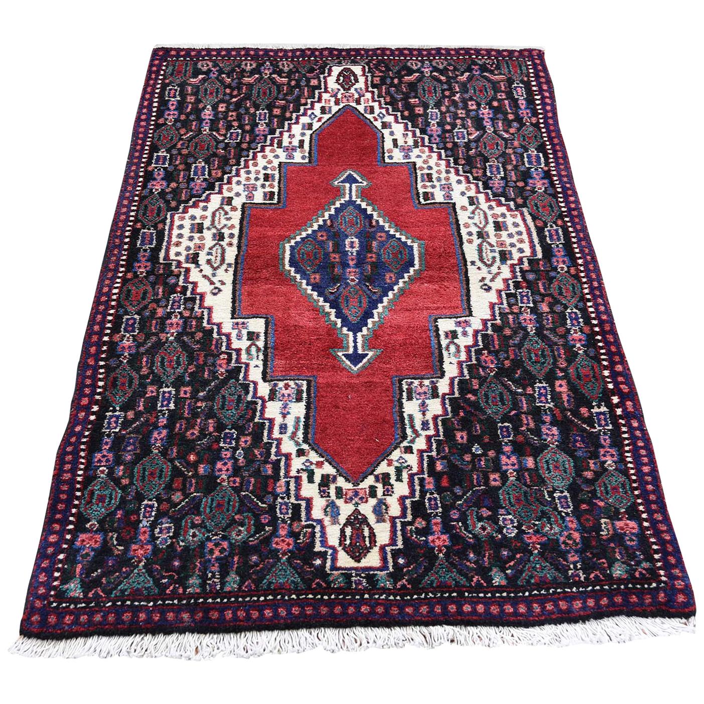 Persian Senneh Pure Wool Hand Knotted Oriental Rug