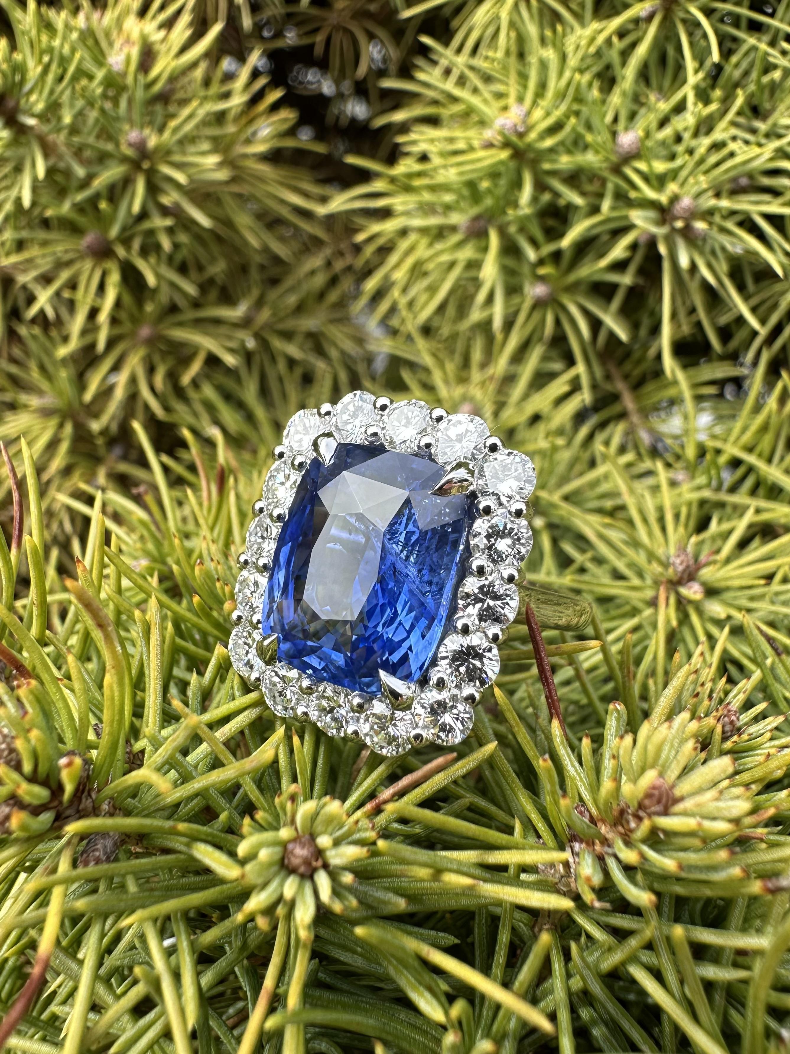 New Platinum GIA 10.96ct No Heat Ceylon Sapphire Diamond Halo Substantial Ring In New Condition For Sale In Montclair, NJ