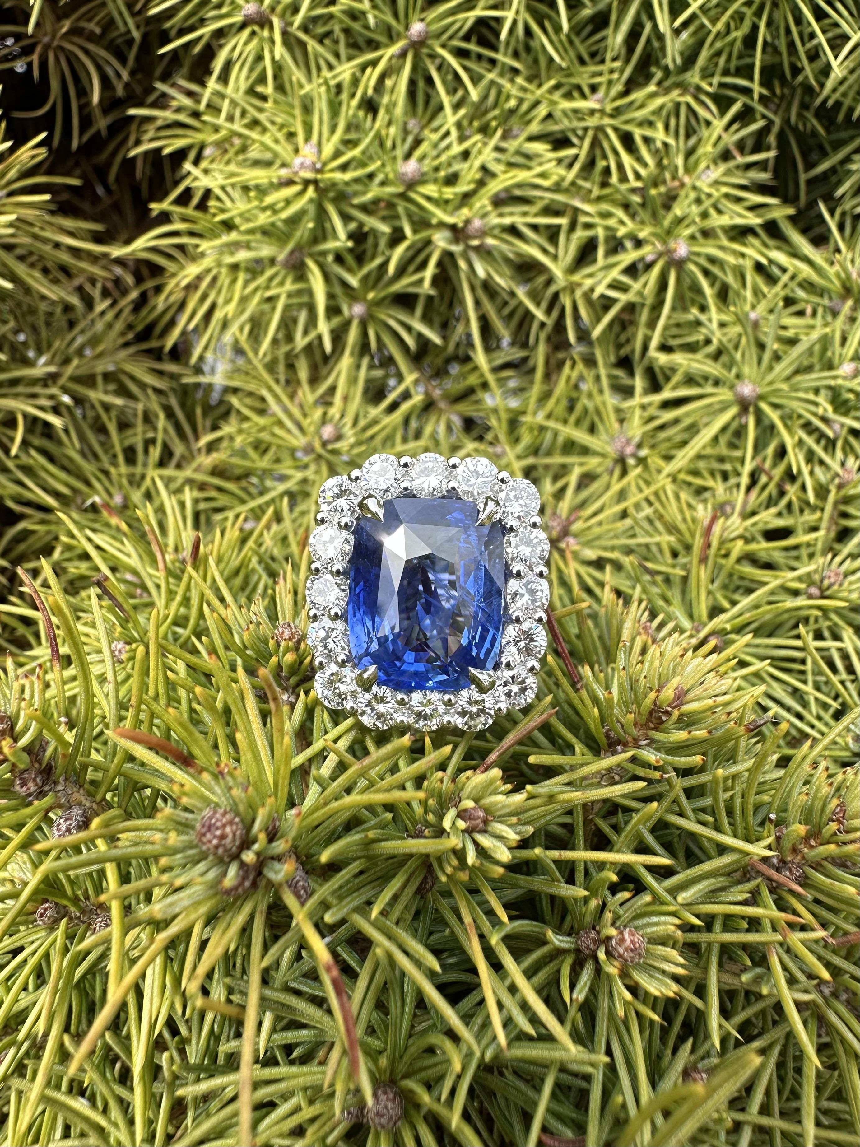 New Platinum GIA 10.96ct No Heat Ceylon Sapphire Diamond Halo Substantial Ring For Sale 1