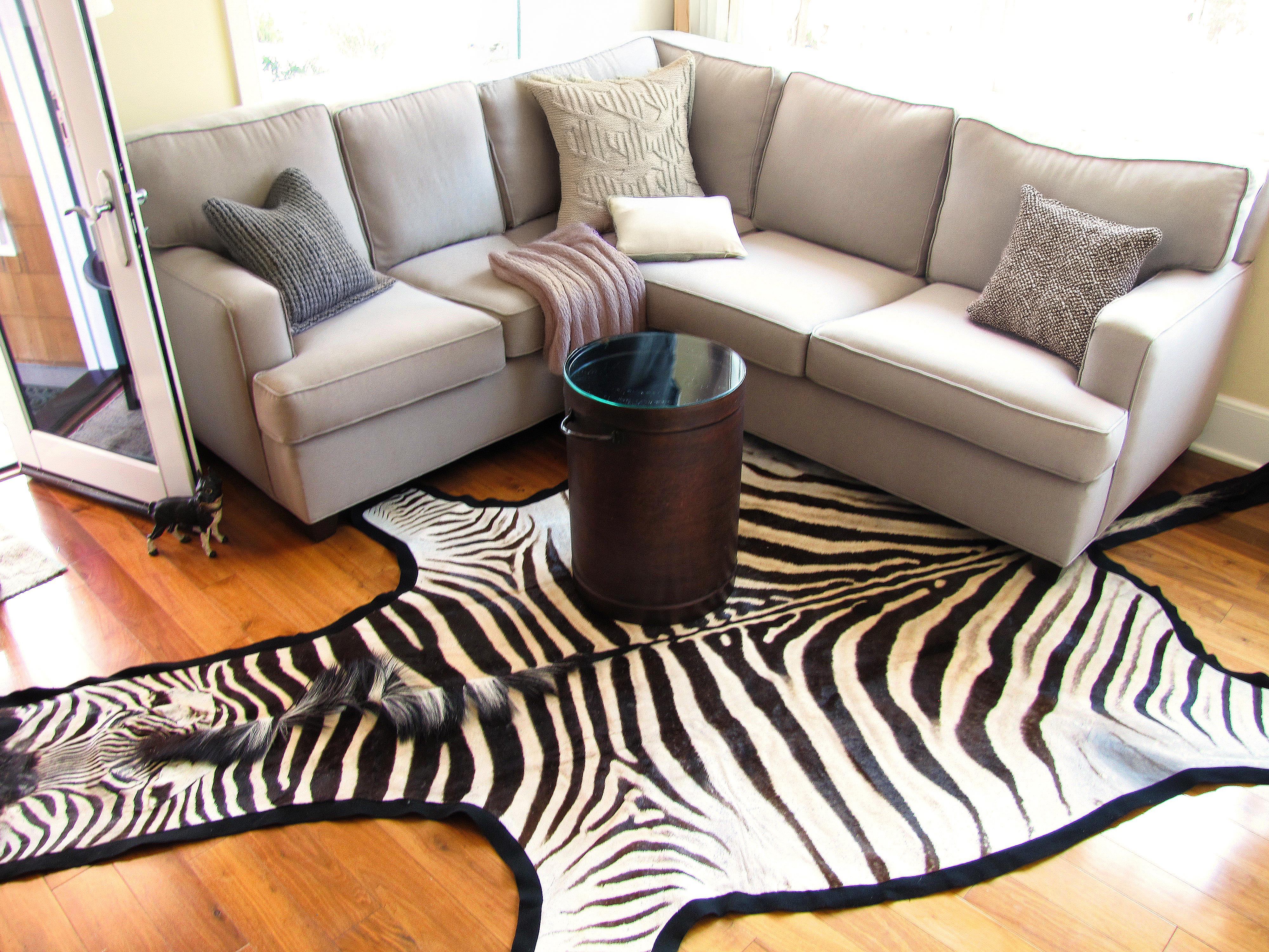 Elevate your space with this striking black felted Burchell zebra skin rug, measuring an impressive 9 feet from tip of nose to tip of tail and 6 feet wide. Expertly felted to protect the hide from aggressive rubbing against surfaces, this authentic