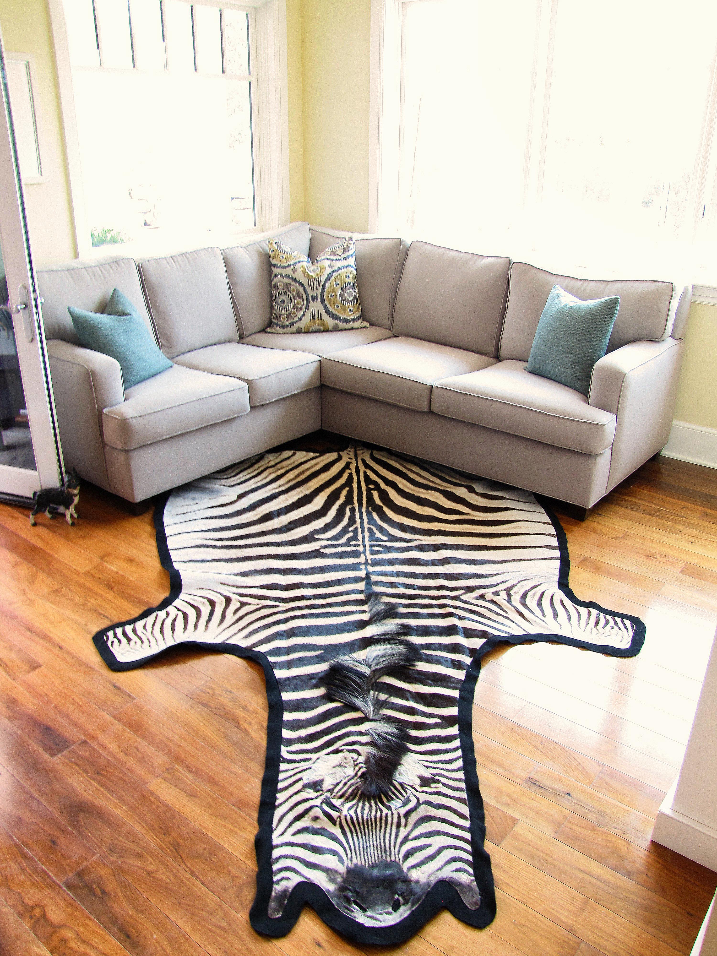 New Premium Felted Trophy Grade Burchell Zebra Skin Rug Hide Carpet en Nuevo Estado en Farmington, UT