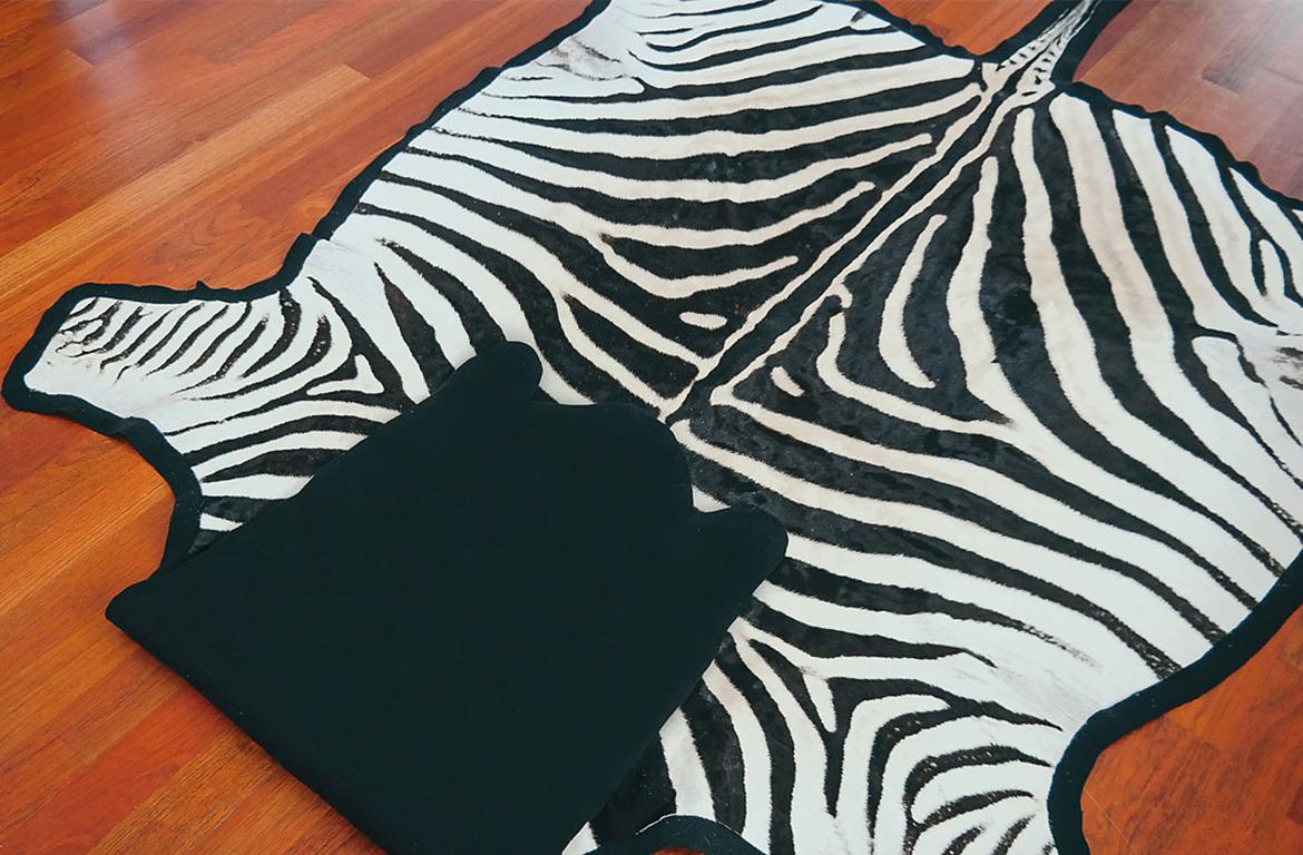 New Premium Felted Trophy Grade Burchell Zebra Skin Rug Hide Carpet Cuero de cebra