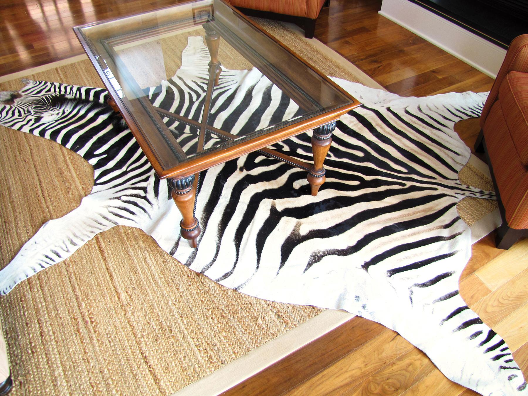 Elevate your space with this striking Burchell non felted zebra skin rug, measuring an impressive 9 feet from tip of nose to tip of tail and 6 feet wide. This authentic, hide showcases the breathtaking beauty and rugged character of a Burchell