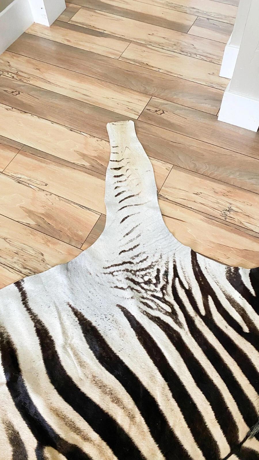 New Non Felted Trophy Grade Burchell Zebra Skin Rug Hide Carpet Decor Flooring For Sale 1