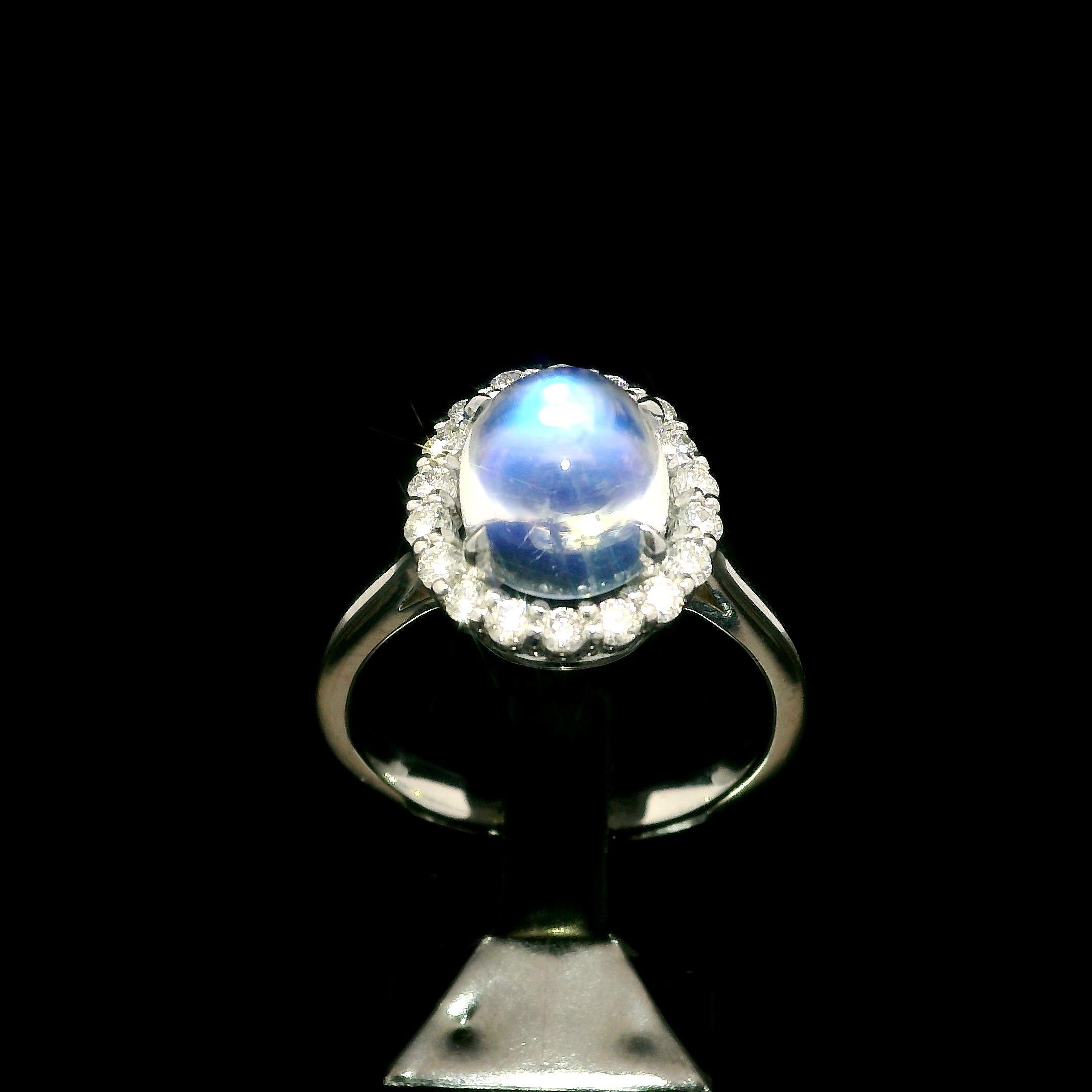Neue solide 14k Weißgold 3,1ctw Oval Blau Mondstein Diamant Halo Ring im Angebot 8