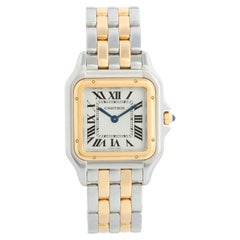 New Style Cartier Panthere 2-Tone 2-Row Medium Watch W2PN0007