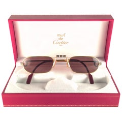 New Retro Cartier Demilune Santos Medium 50mm Reading France Sunglasses