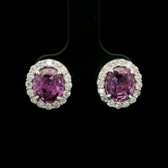 New White Gold GIA 4.75ctw Oval Pink Sapphire w/ Diamond Halo Stud Earrings