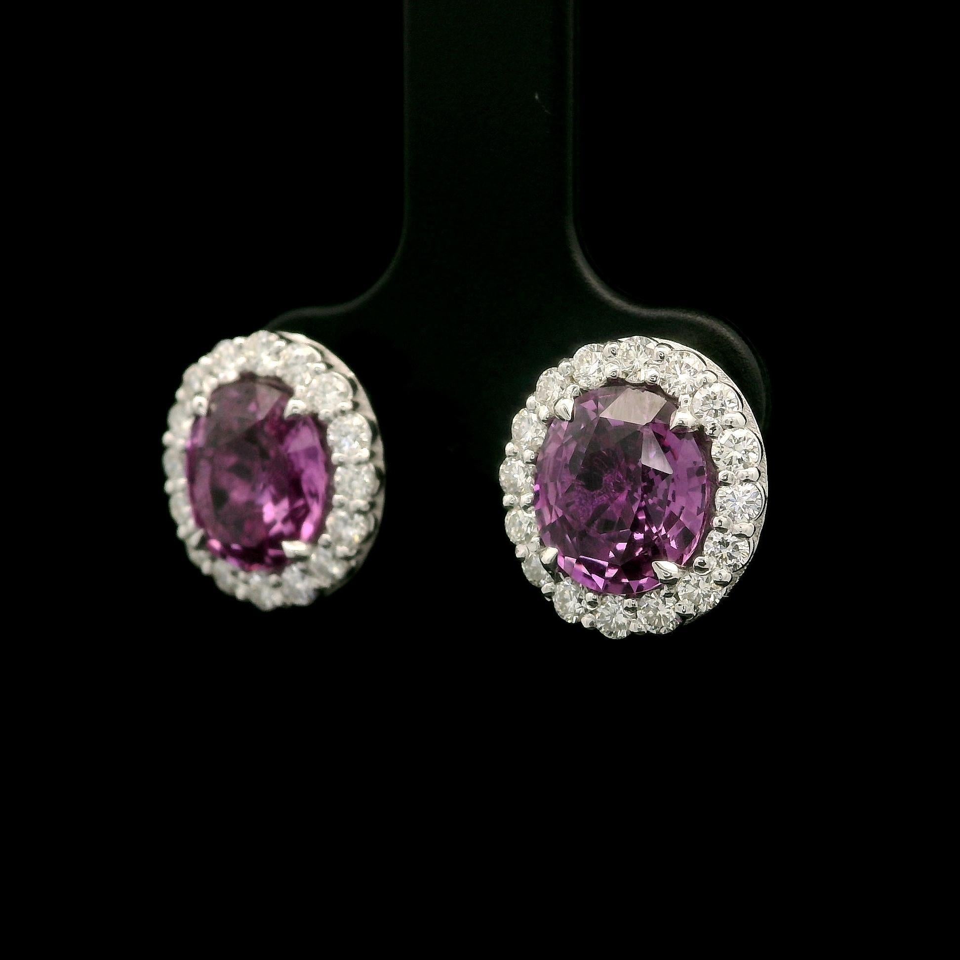 Oval Cut New White Gold GIA 4.75ctw Oval Pink Sapphire w/ Diamond Halo Stud Earrings For Sale