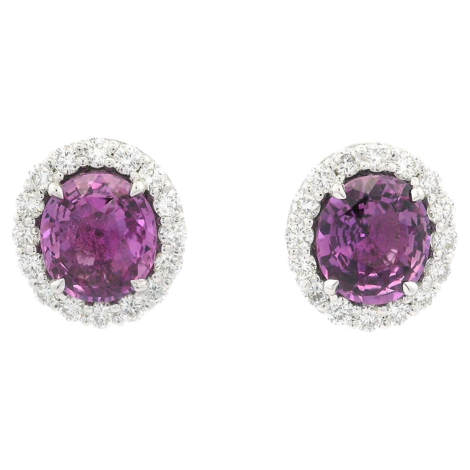 New White Gold GIA 4.75ctw Oval Pink Sapphire w/ Diamond Halo Stud Earrings For Sale