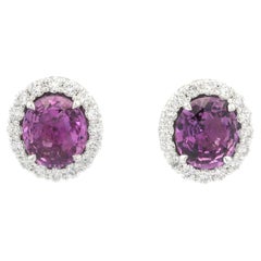 New White Gold GIA 4.75ctw Oval Pink Sapphire w/ Diamond Halo Stud Earrings