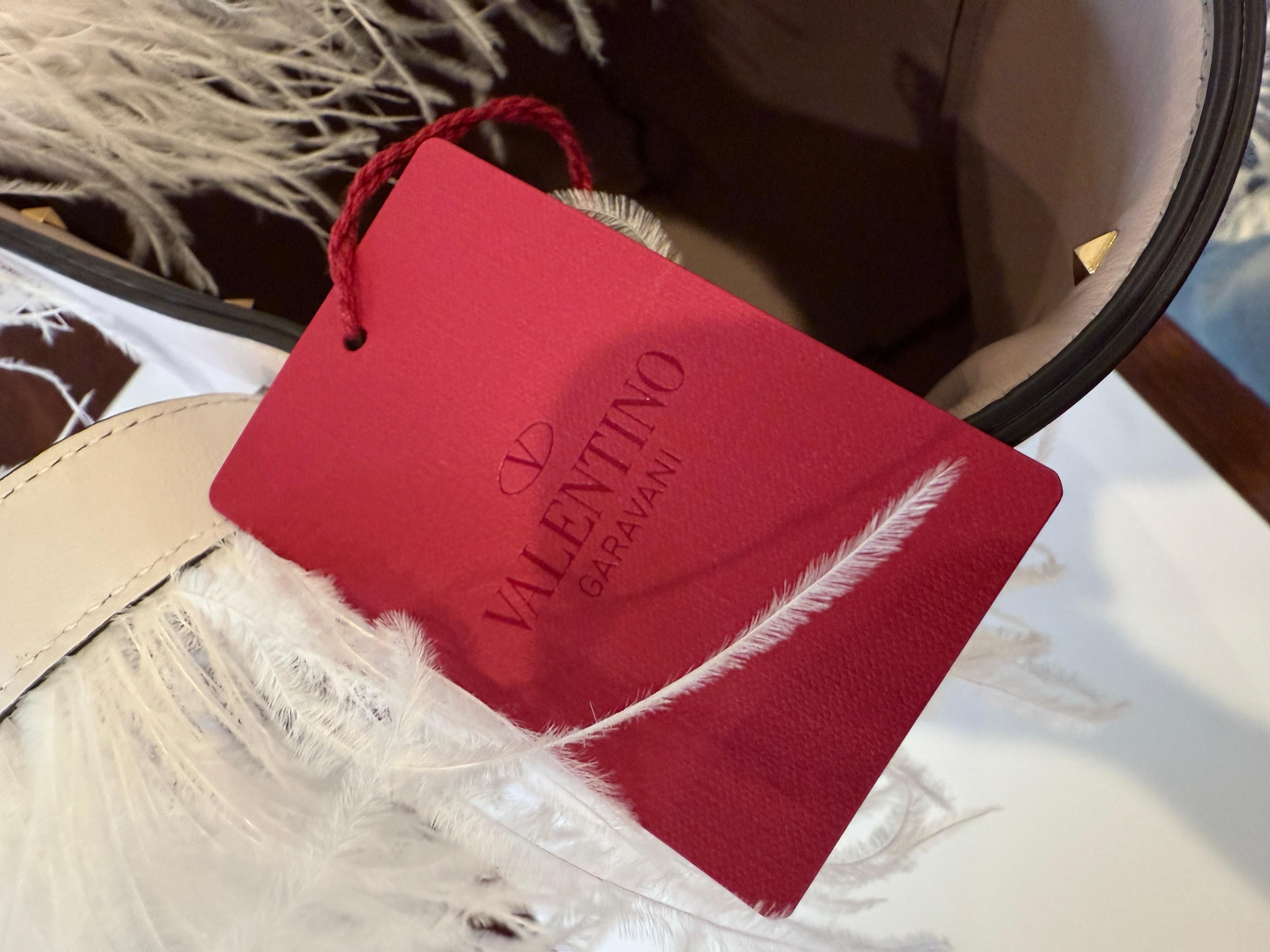 $2795 New With Tags Valentino Spring 2020 Leather Ostrich Feather Bag For Sale 8