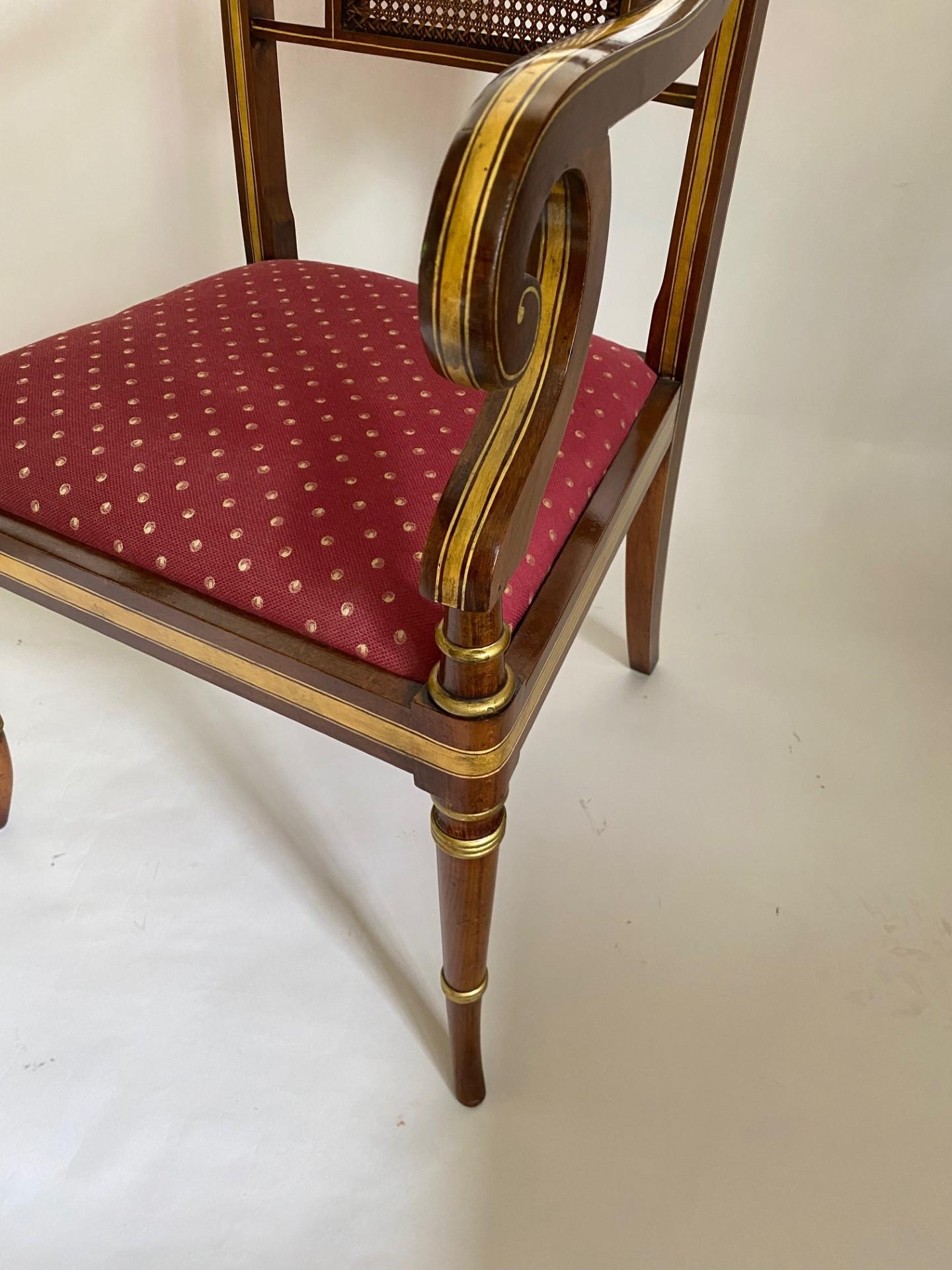 Canna NEW Wood & Hogan Poltrona in finto palissandro Regency Stle con decorazioni dorate in vendita