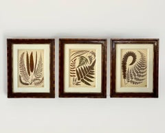 Stampe di felci dell'Orto Botanico di New York in cornici di noce realizzate a mano da Trowbridge