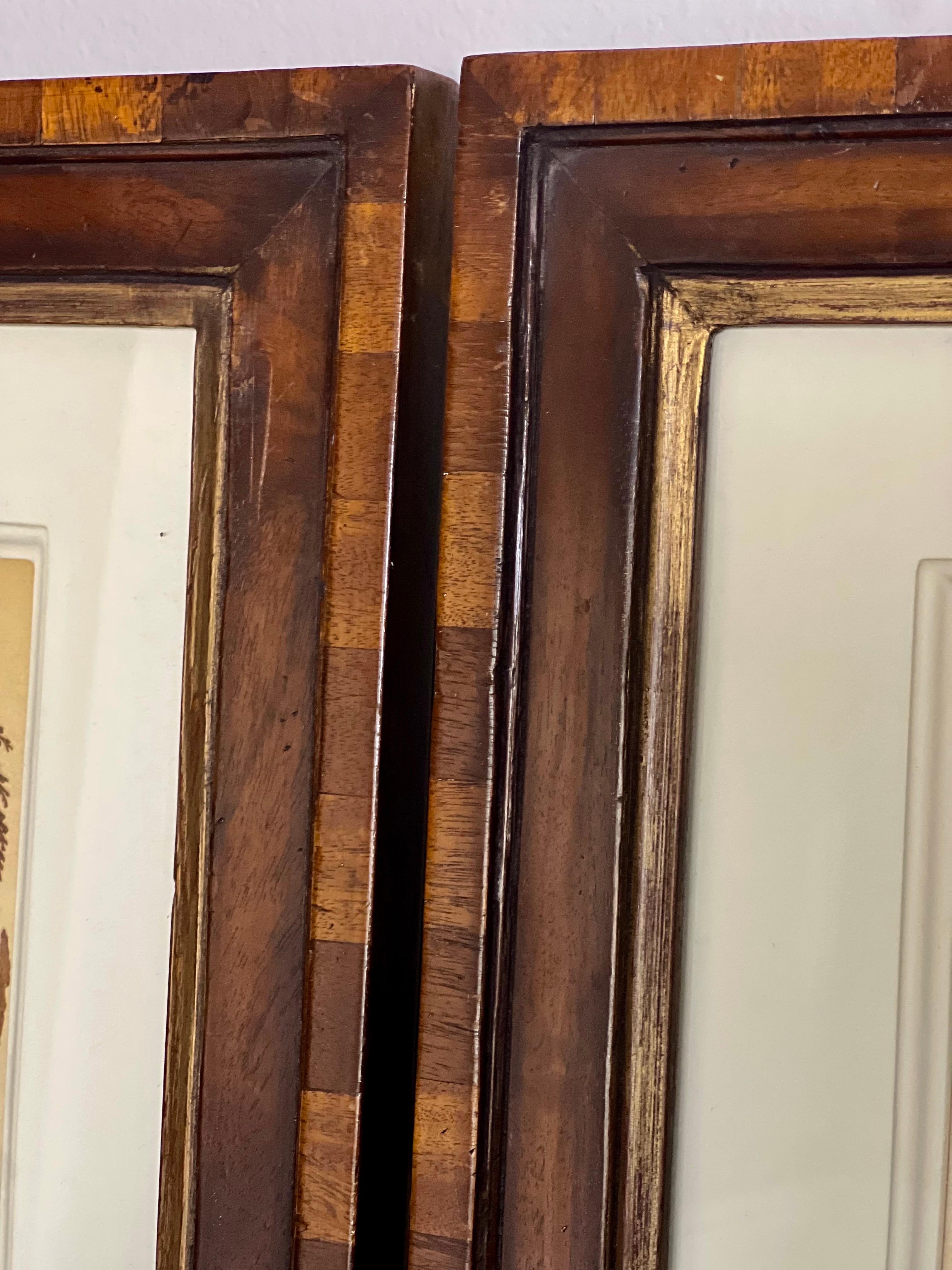 Gravures à la fougère du jardin botanique de New York dans des cadres en noyer fabriqués à la main par Trowbridge en vente 2