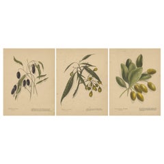 Prints