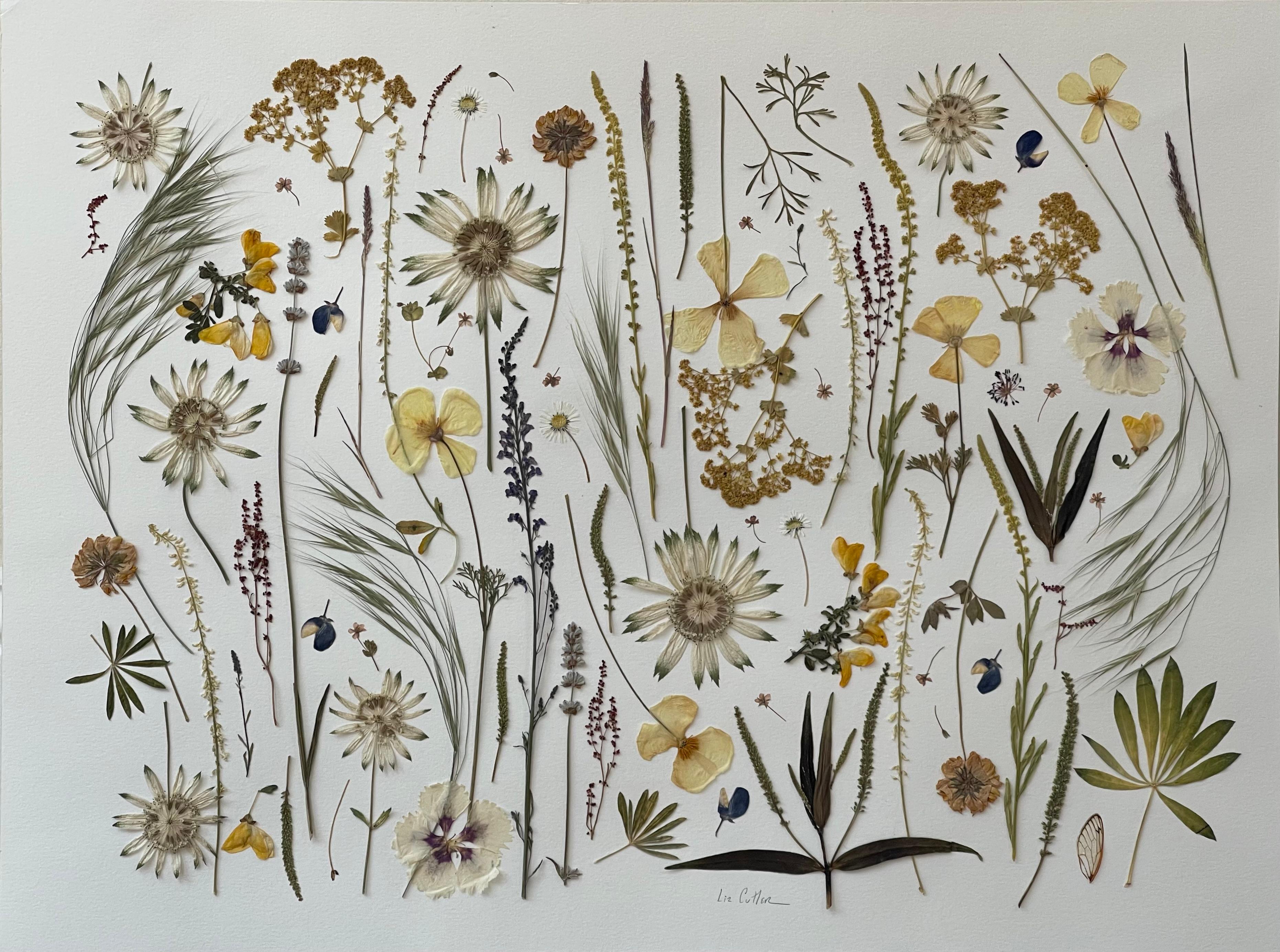 Œuvre originale captivante sur papier de l'artiste du New Jersey Liz Cutler. Cette pièce de 18 x 24 pouces est composée de fleurs et d'éléments botaniques cueillis et pressés à la main le long des rives des cours d'eau et dans les forêts de