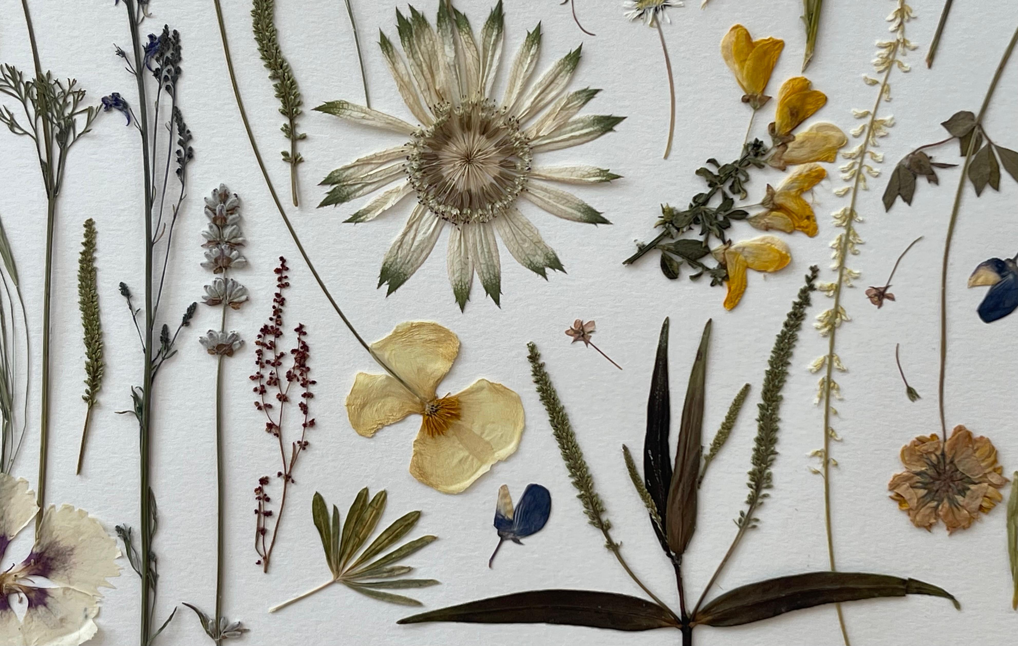 Organique « Nouvelle-Zélande Magic » pressé botanique par Liz Cutler  en vente