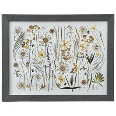 "New Zealand Magic" Pressed Botanical by Liz Cutler