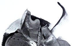 Astride, Painting, Acrylic on Canvas