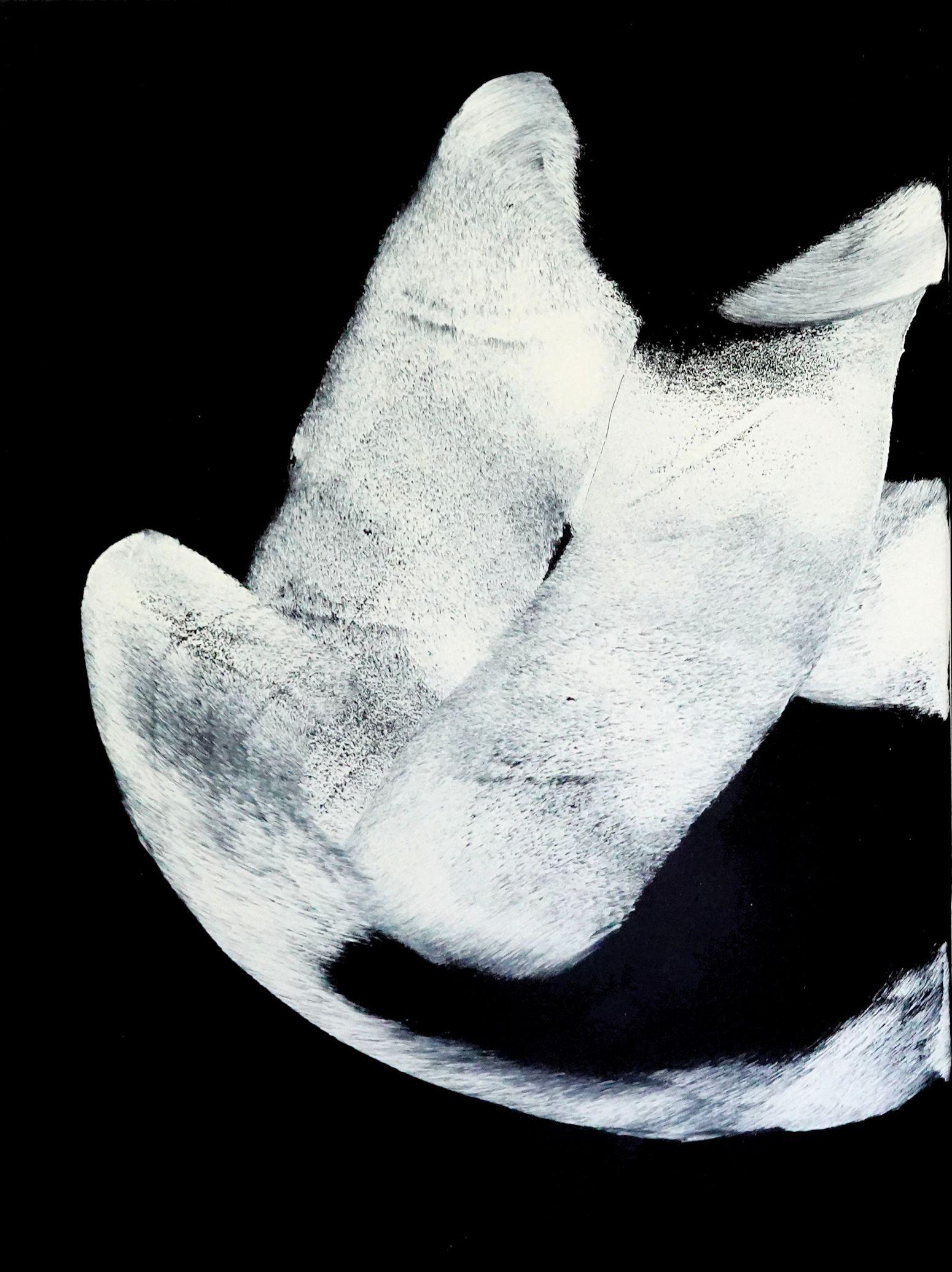 Dittico Face to Face, Pittura, Acrilico su tela - Painting di Newel Hunter
