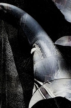 Fiddle Faddle, Pintura, Acrílico sobre lienzo