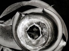 Híbrido, Pintura, Acrílico sobre lienzo