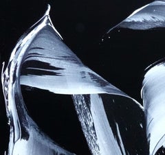 Night Flights, Painting, Acrylic on Canvas