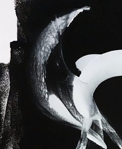 Riding a Pale Horse, Painting, Acrylic on Canvas