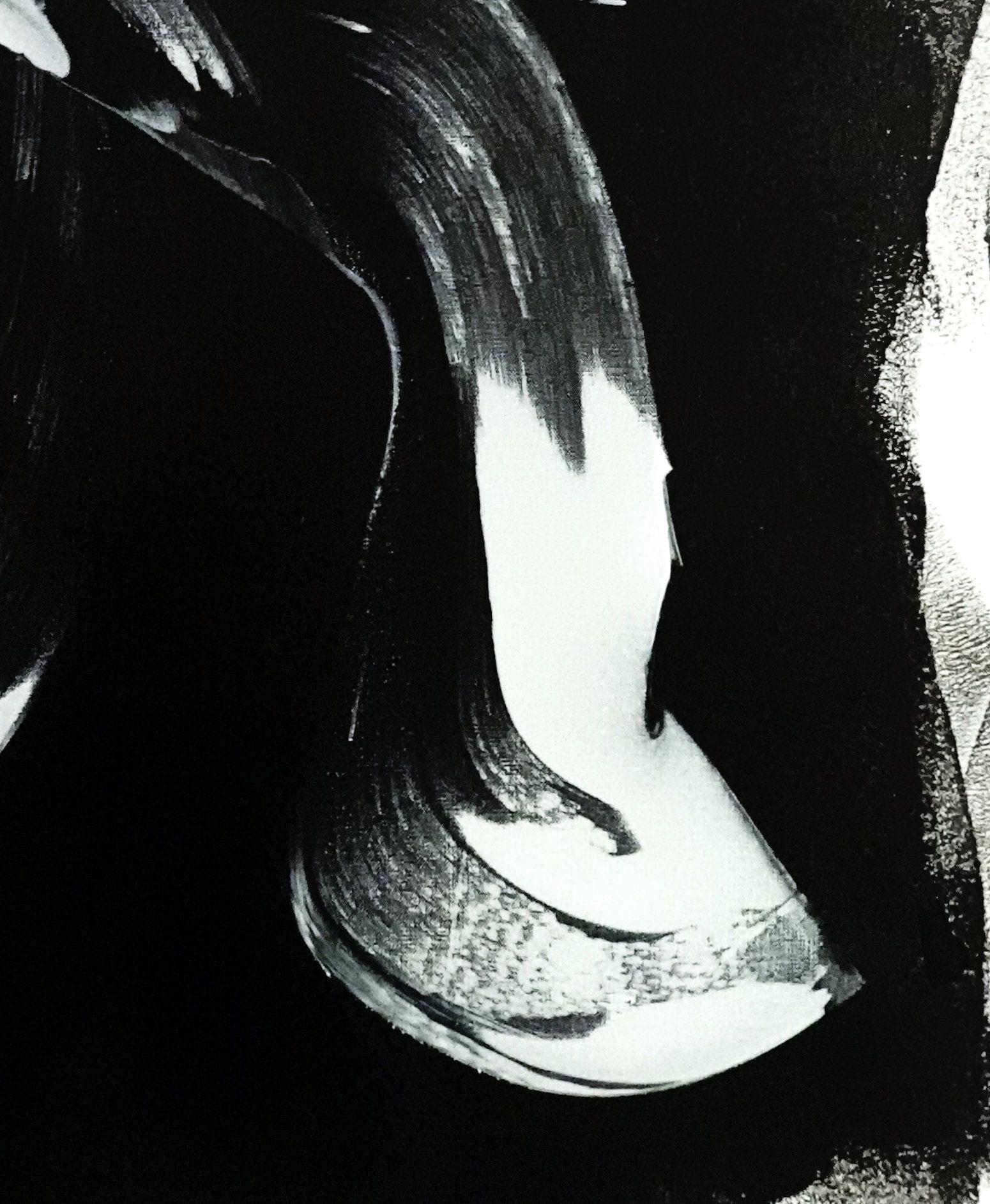 Peinture - Acrylique sur toile - Cheval chevauchant un cheval pâle - Noir Abstract Painting par Newel Hunter