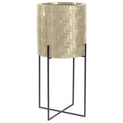 Nexum Lumine 60 Cachepot