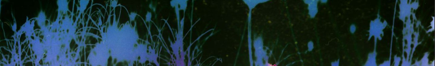 kristinapodobed-cover