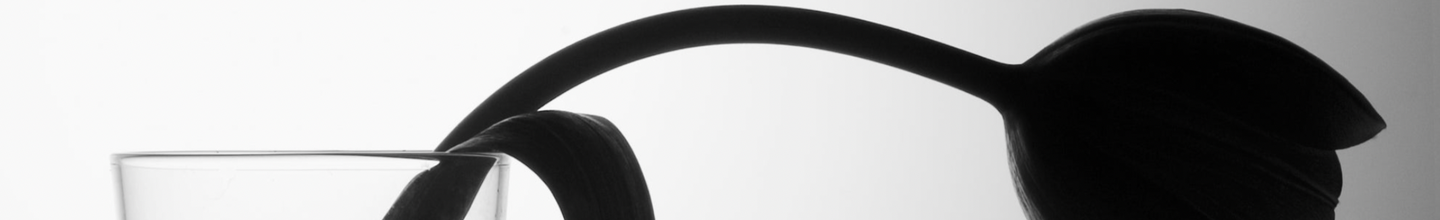 Chairit_Prapai-cover