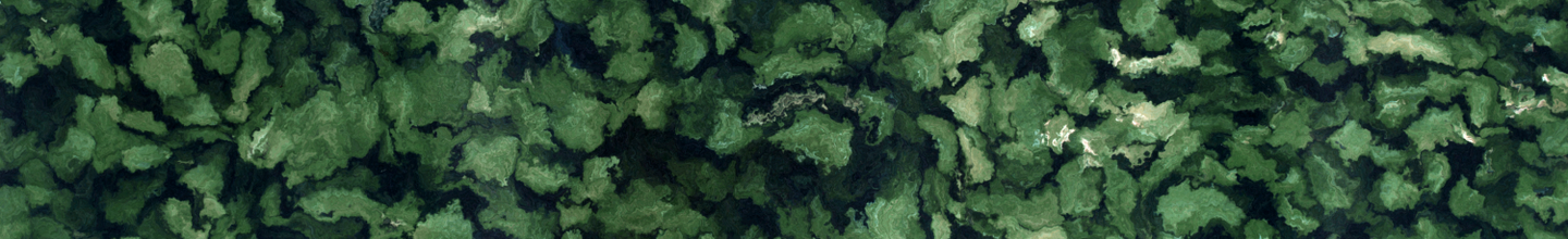 lucasribei.ro-cover