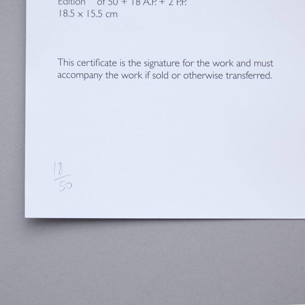 Ángela De La Cruz Pinch Yellow Contemporary Artwork, 2015 For Sale 8