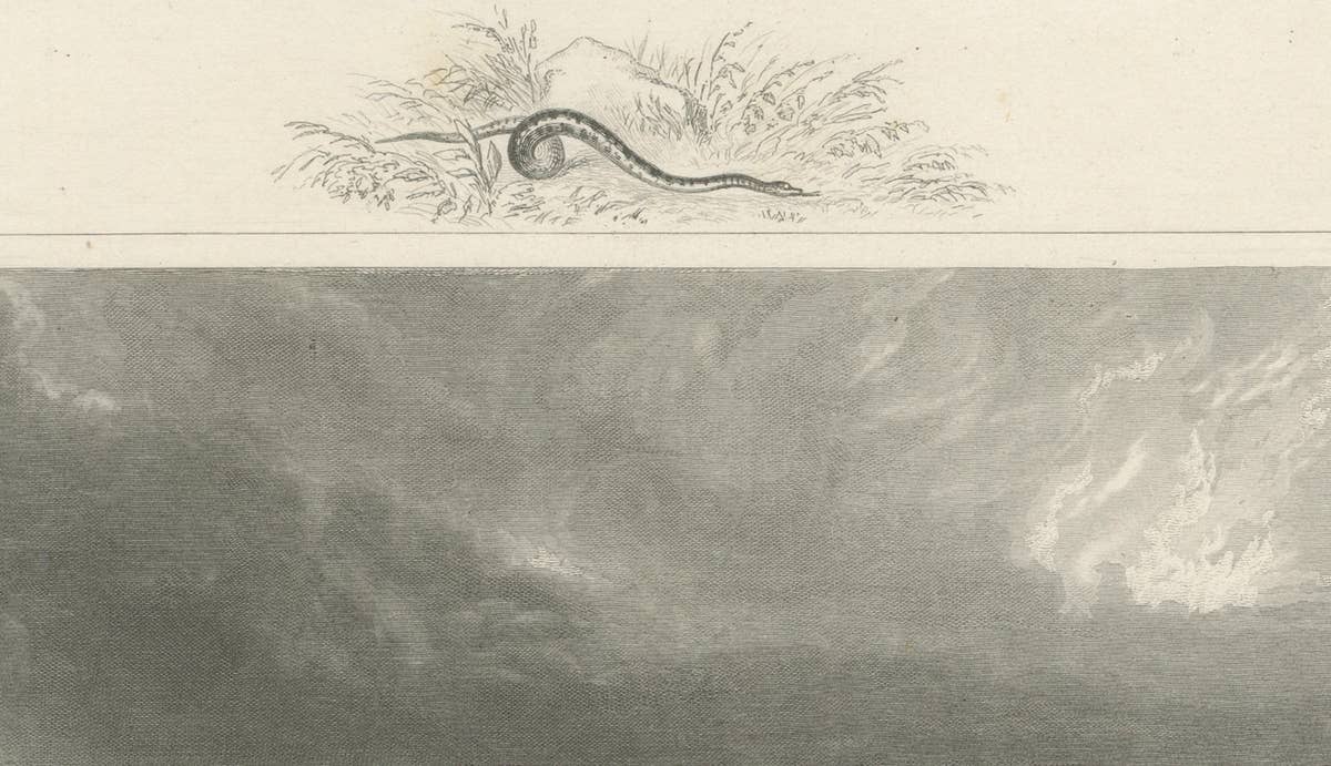 Niagara Falls Antique Engraving, Thomas Cole Landscape, 1831