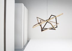 Sculpture lumineuse suspendue « His » de Niamh Barry, Irlande, 2014