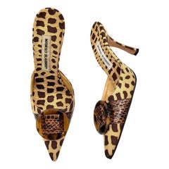 Brown Shoes
