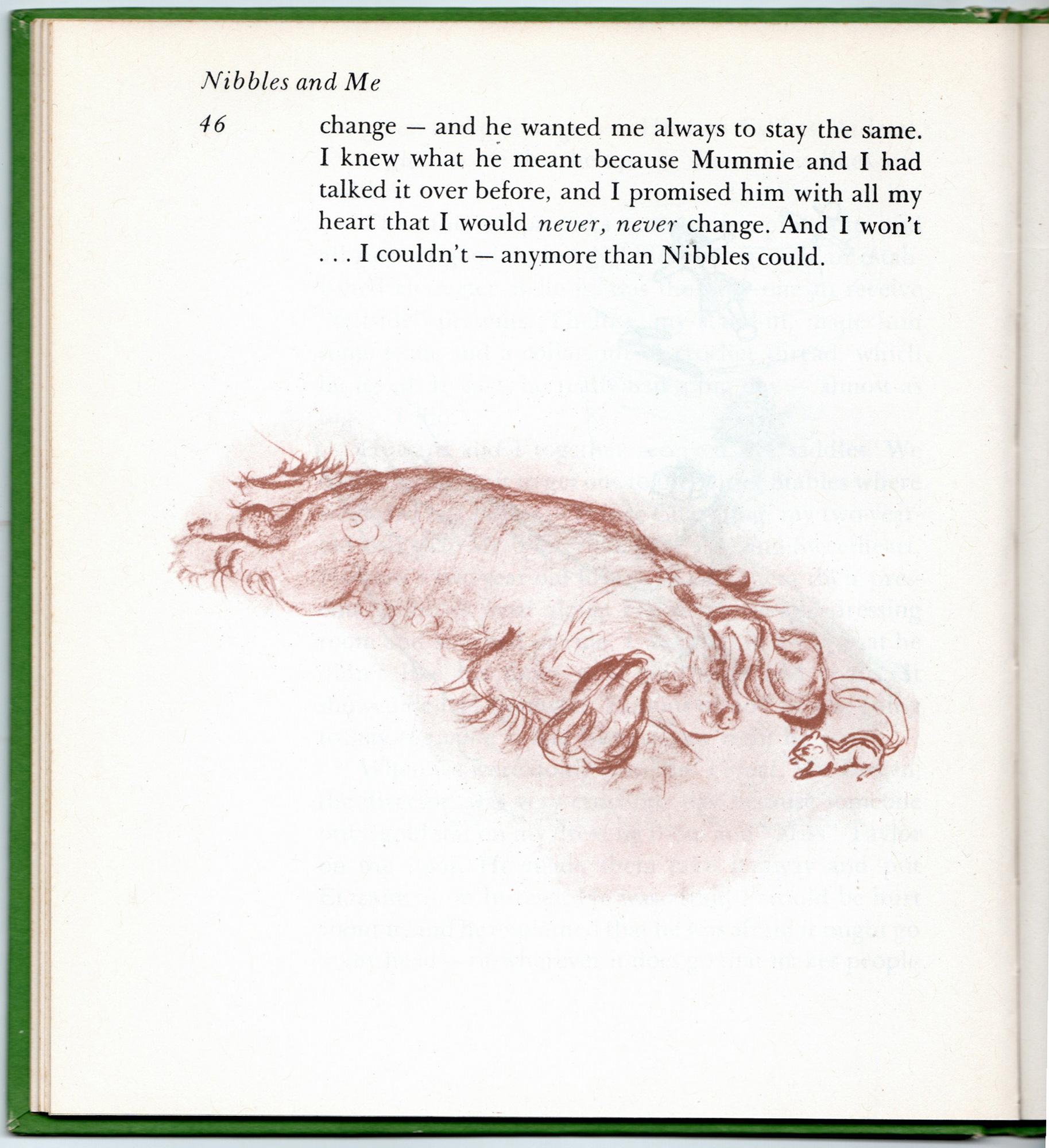 Nibbles and Me, écrit et illustré par ELIZABETH TAYLOR en vente 4